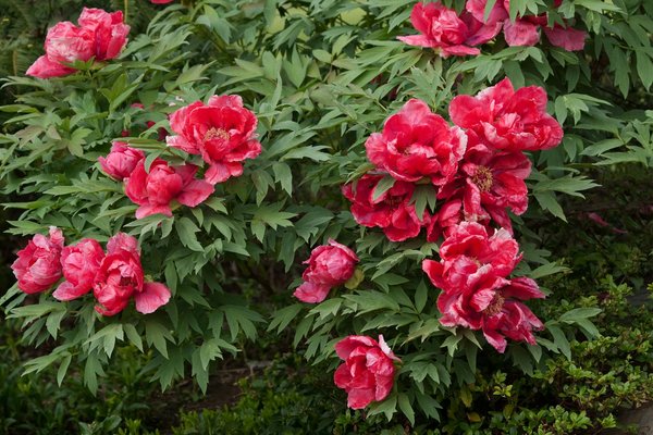 Guide d'achat des poteaux pour garde-corps : choix et styles remarquables