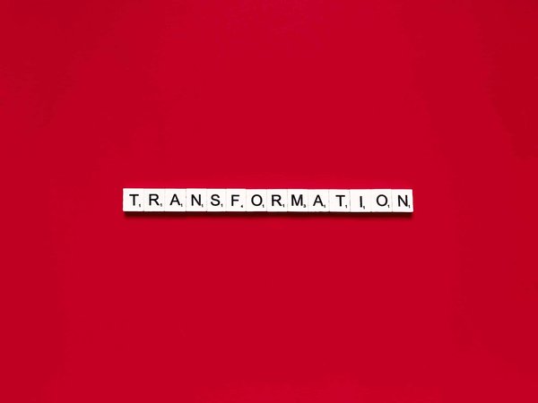 Quelle est la procédure pour transformer un sous-sol en cave à fromage contrôlée en température ?