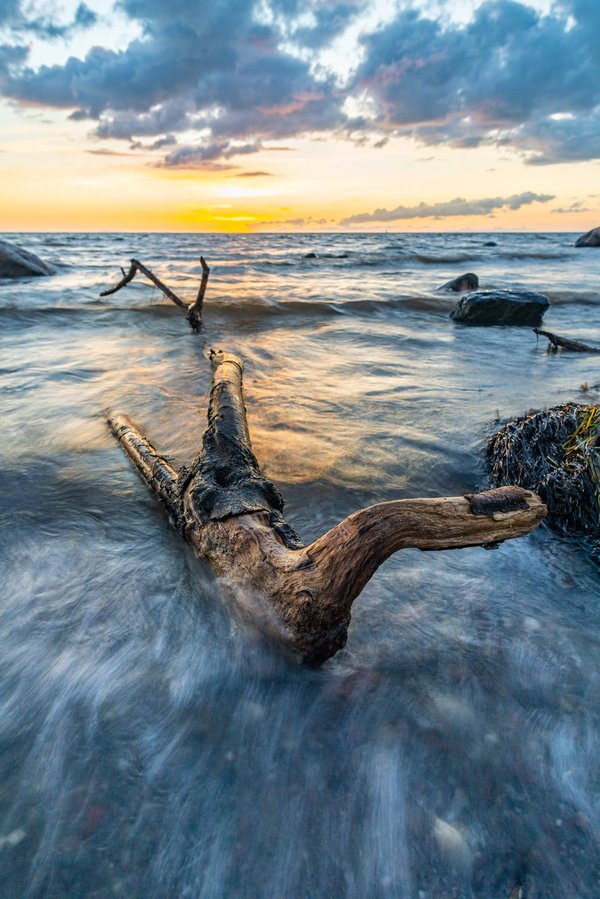 Astuces pour choisir un poêle à granulés de bois pour un chauffage éco-responsable