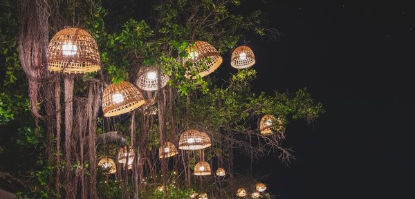 Découvrez l'applique murale extérieur parfaite pour votre jardin